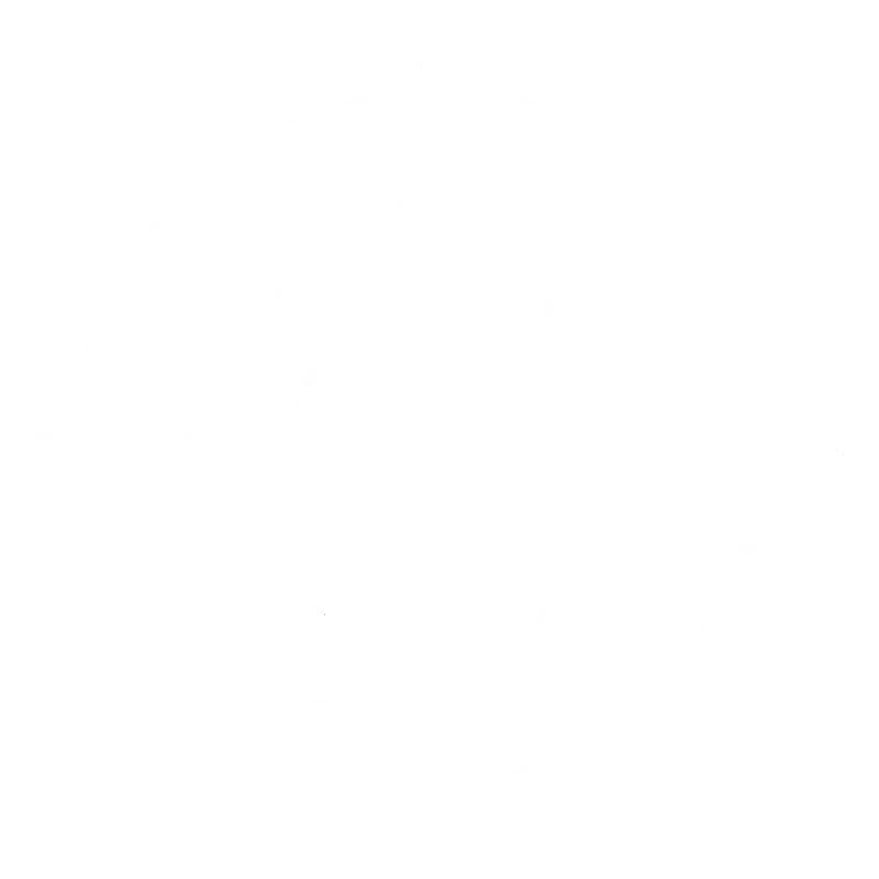 Bottroper Bier